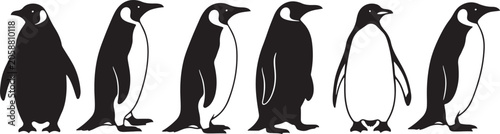 Konstfotografi Collection of penguin silhouettes in various poses on transparent background, arctic animals