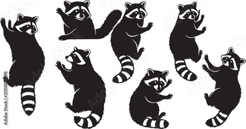 Konstfotografi Collection of raccoon silhouettes in various playful poses, on transparent background