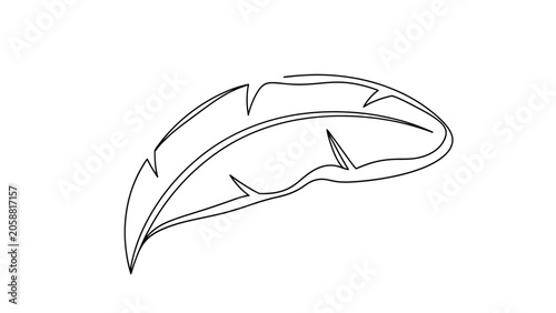 Minimalist Banana Leaf Outline, Tropical Plant Element, Botanical Illustration