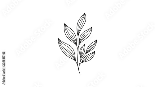 Minimalist black and white illustration of a delicate plant branch with leaves, isolated on white background.