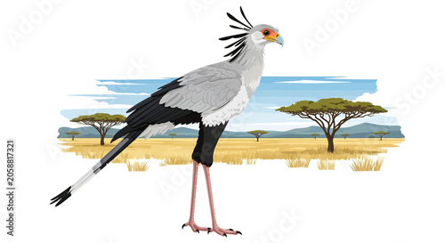 Colorful Secretarybird Standing Alone Profile.