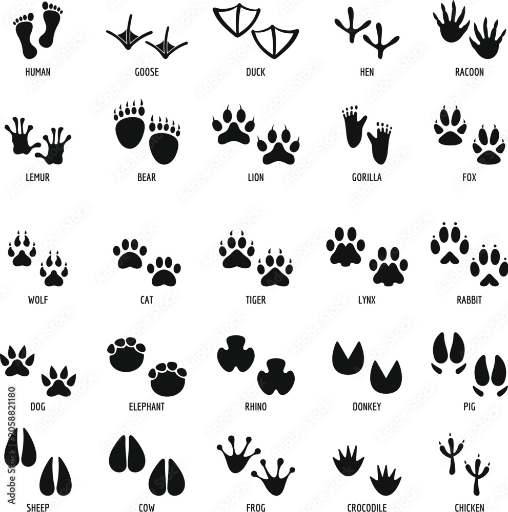 Obraz premium Animal Footprints, Wildlife Tracks, Vector Icons, Black Silhouettes, 40 Animal Footprint Icons