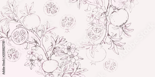 Pomegranate Branch And Fruit Vintage style Vector Illustration