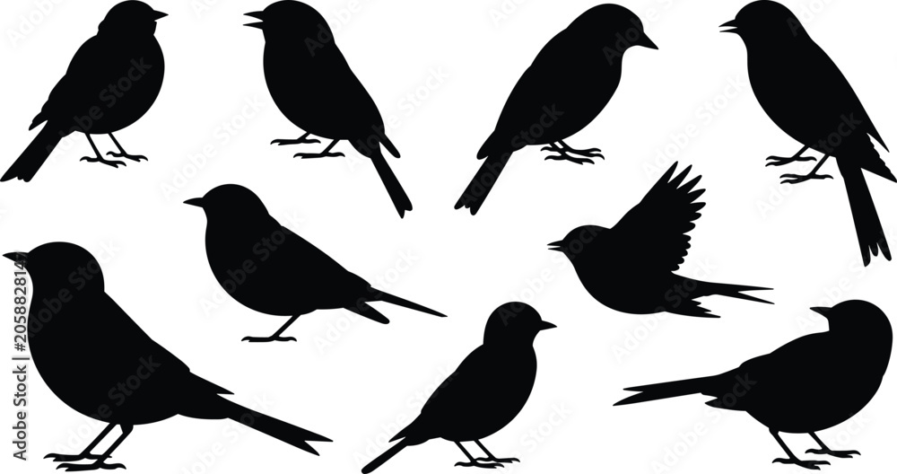 Fototapeta premium Black silhouettes of small birds in standing and flying poses for nature and design projects
