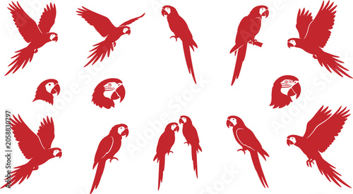 Red parrot silhouettes on white background with various poses and flying birds