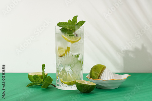 Glass of fresh mojito with ...