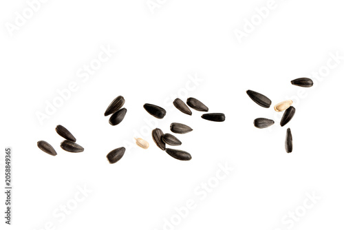 Flying sunflower seeds on w...