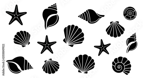 Foto Black Silhouettes of Seashells and Starfish Collection.