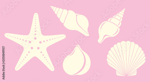 Obraz na plátně Assorted Seashells and Starfish on a Pink Background.