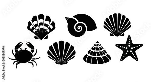 Bild auf Leinwand Black Silhouette Collection of Marine Life and Seashells.