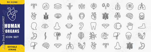 Human organs line icon set featuring anatomy, biology, health, internal, heart, brain, and medical. Professional editable vector set for healthcare