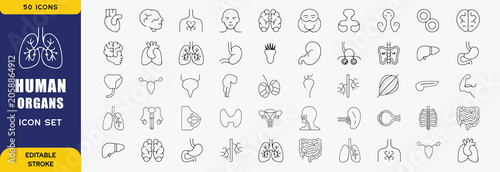 Human organs line icon set featuring anatomy, biology, health, internal, heart, brain, and medical. Professional editable vector set for healthcare