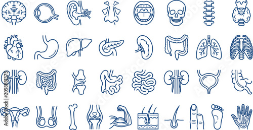 Obraz na płótnie Collection of human body organ illustrations