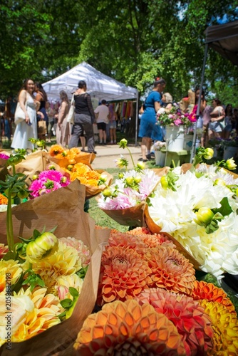 Colorful flowers at a sunny outdoor market