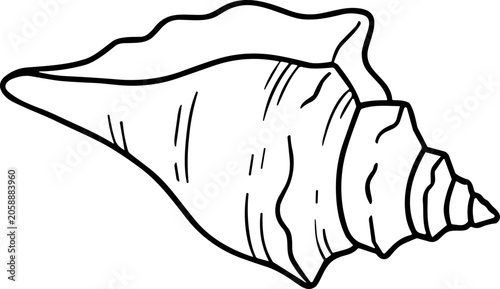 Photos Conch Shell Drawing, Ocean Dweller, Marine Life, Seashell Silhouette