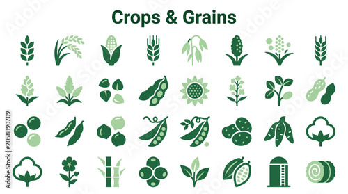 Fotografie Diverse collection of stylized green icons representing various crops grains and