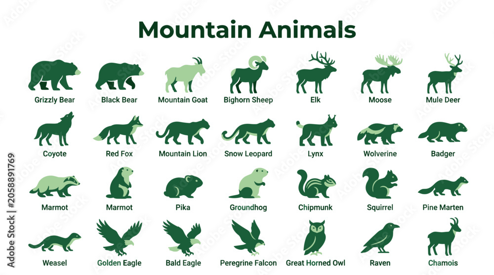 Obraz premium Collection of diverse mountain animals illustrated in a clean graphic style, showcasing wildlife found in alpine environments including mammals and birds.