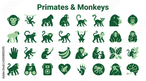 Konstfotografi Collection of primate and monkey icons representing various species and activiti