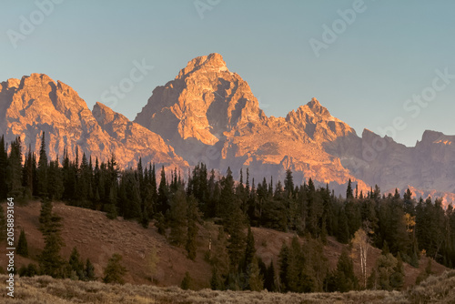Fényképezés Glowing orange alpenglow hitting the jagged peaks of the Grand Teton mountain range at sunrise above a pine forest