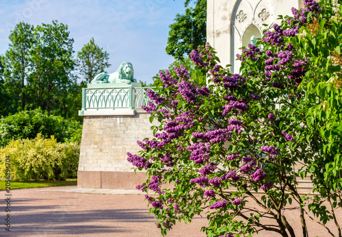 Quadro su tela White Tower Pavilion in Alexander Park in summer, Pushkin (Tsarskoye Selo), Sain
