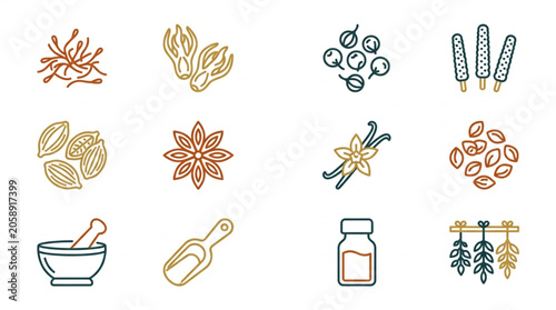 Collection of Various Spices and Herbs in Outline Style.