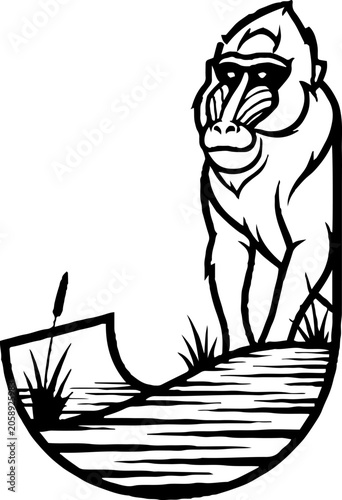 Mandril monkey sitting on a crescent moon shape.