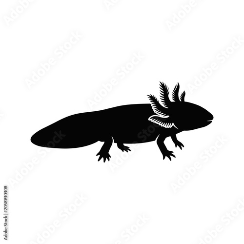 Foto Axolotl silhouette graphic icon for scientific illustration with amphibian