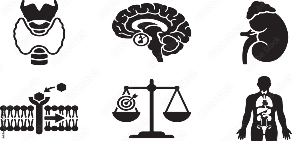 Naklejka premium Endocrinology and Thyroid Icon Set, Hormonal Balance Vector Black and White Minimalist Diabetes Healthcare Icons