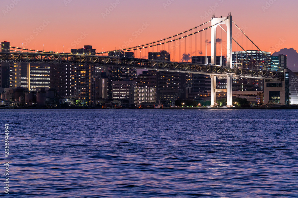 Obraz premium レインボーブリッジと湾岸高層ビル群の夜景