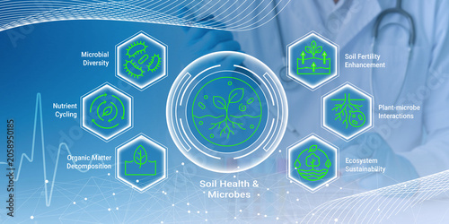 Tableau sur toile Illustration showing key factors of soil health and microbes including microbial