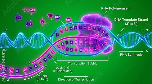 3D Medical Animation of RNA Virus Structure with Fluorescent Molecules in Green Backdrop