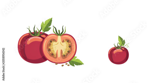 Cartoon illustration of a sliced tomato next to a whole cherry tomato on a clean background Vector
