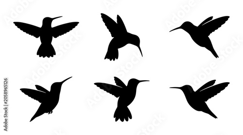 Fényképezés Hummingbird Silhouettes Set, Six Diverse Poses, Elegant Flying Bird Vector Art,