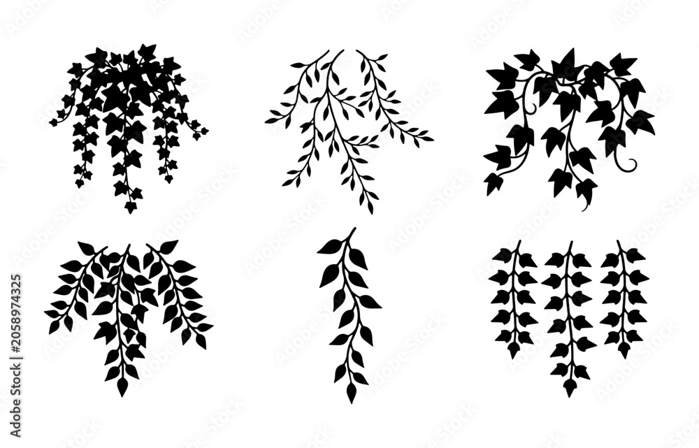 Obraz premium Black Silhouette Botanical Elements, Hanging Vine and Leaf Sprays, Decorative Floral Accents, Vector Illustrations for Design