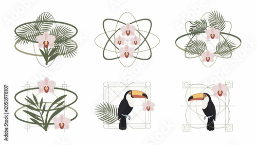 Toucan bird and tropical flower illustrations.