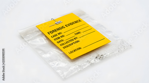 Yellow evidence tag with text FORENSIC EVIDENCE lies on top of a sealed evidence bag, commonly used in criminal investigations and law enforcement.