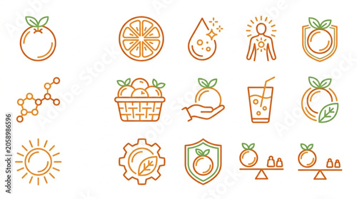 Orange Fruit Icons Representing Health Benefits and Nutrition.