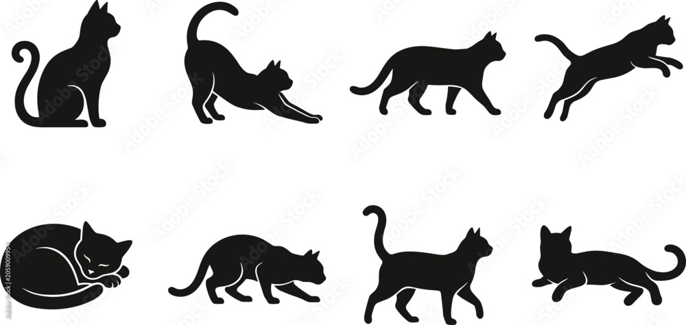 Fototapeta premium Cat Pose Silhouette Vector Bundle Featuring Sitting Stretching Walking Jumping Sleeping Hunting Standing and Playing Cats