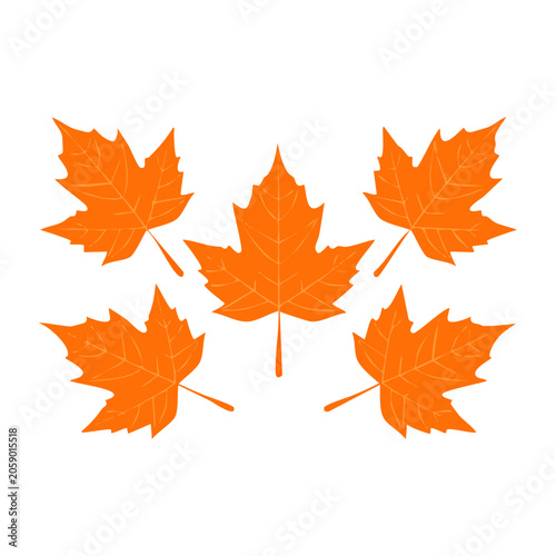 Orange Maple Leaves Vector Set