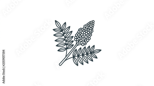 Fotografie Stylized Illustration of a Sumac Branch with Berries.