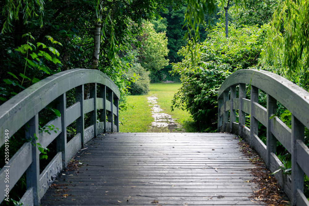 Obraz premium Wooden footbridge surrounded by willow branches in romantic garden park scenery
