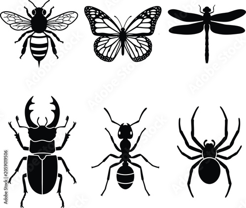 Insect silhouette collection bees butterflies dragonflies beetles ants and spiders