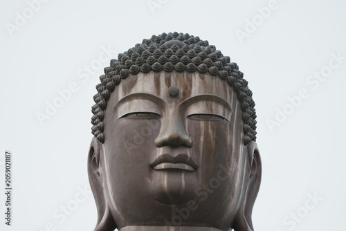 斜め下から見た大仏の顔
