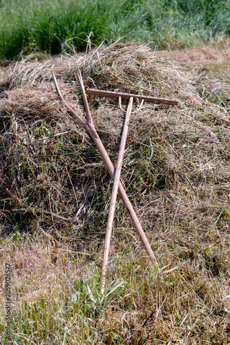 Bild auf Leinwand wooden rake on hay