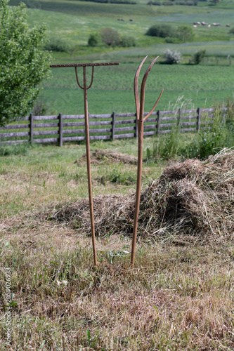 Foto wooden rake and pitchfork on field near hay