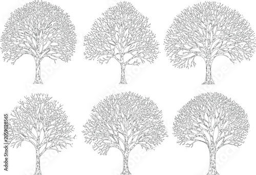 Bild auf Leinwand Six intricately detailed silhouette trees with dense foliage and visible branches, sketched in a monochrome outline style against a gray background