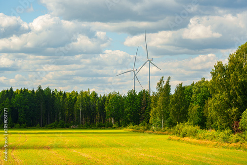 Wind Turbines Rising Above a Forest and Agricultural Field