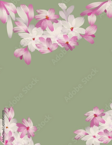pink and white flowers frame 