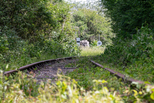 Disused railway track overgrown with vegetation on the abandoned branch line near Ashchurch, Tewkesbury, Gloucestershire