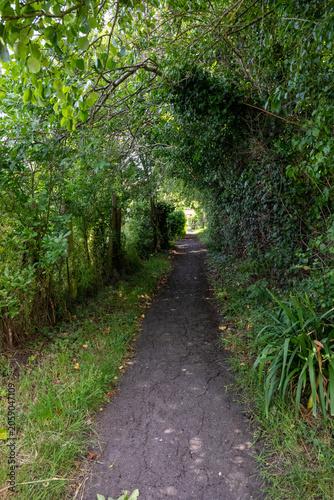 Narrow footpath tunnelling through dense green summer foliage near Ashchurch, Tewkesbury, Gloucestershire, England